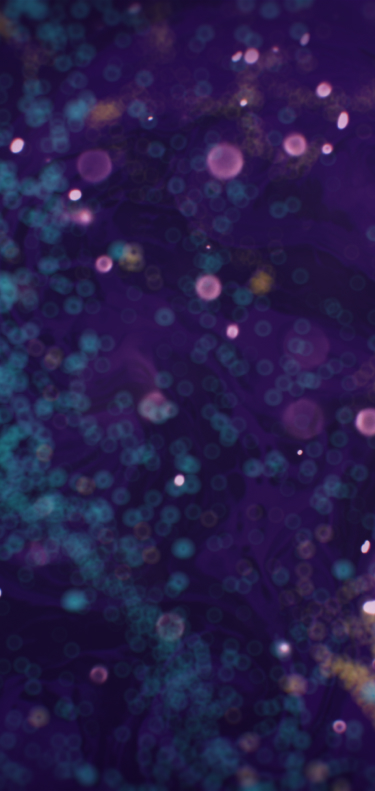 Service Header Background