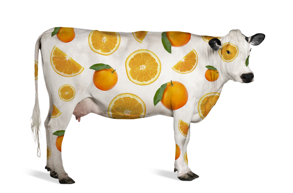 Juce Cow