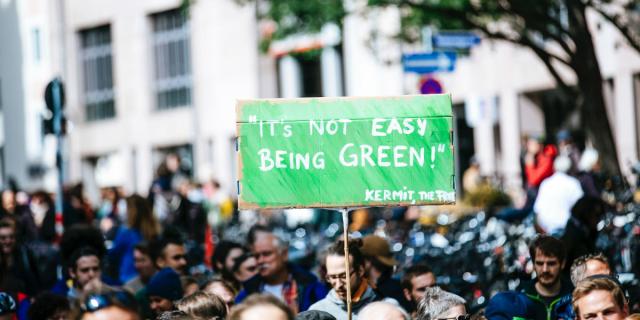 Protest placard quote: "It's not easy being green. Kermit the Frog."