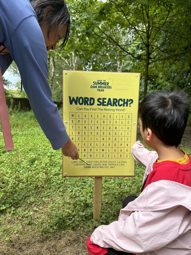 Puzzle board