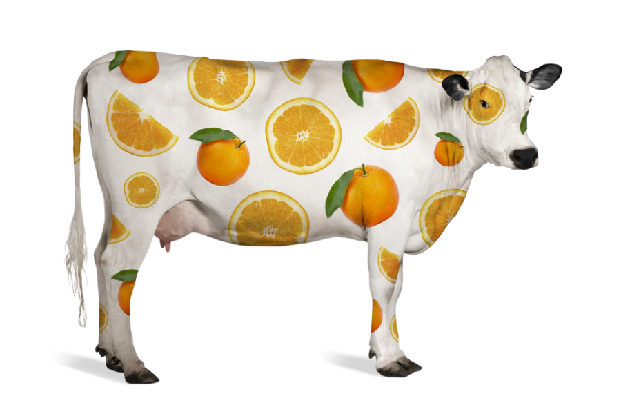 Juce Cow